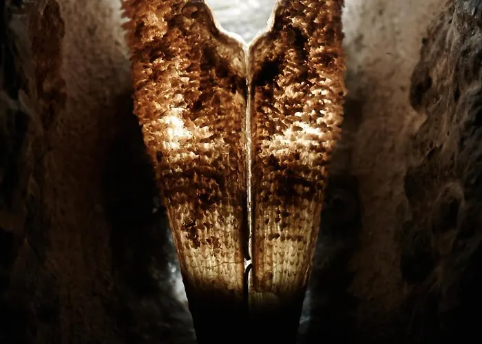 Marathos Bay Szálloda *